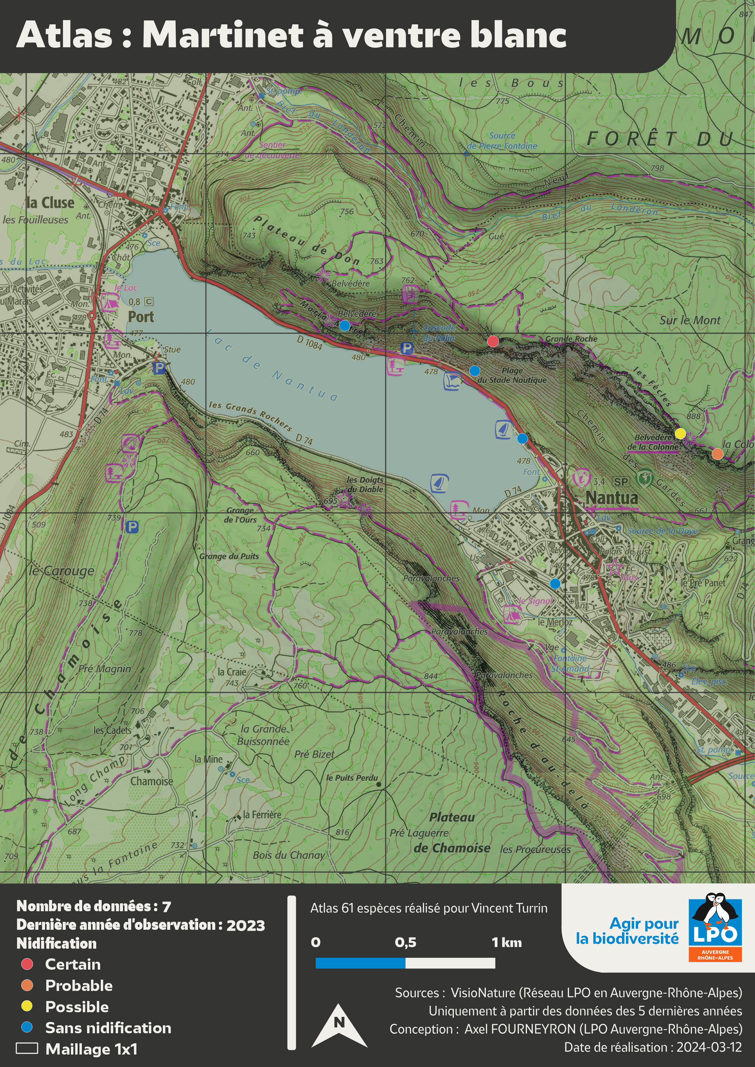 Nantua_martinet